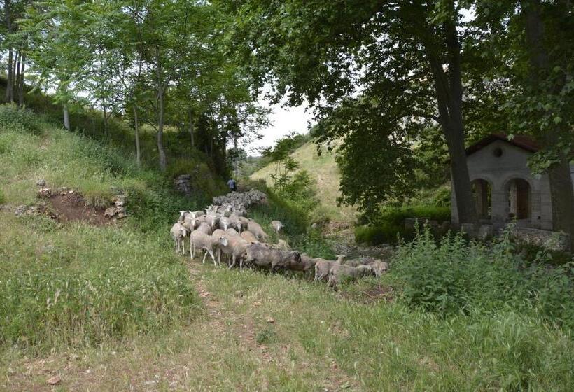 Garganomareborghi Ospitalità Diffusa