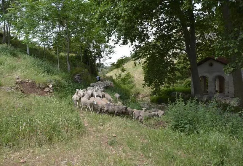 Garganomareborghi Ospitalità Diffusa