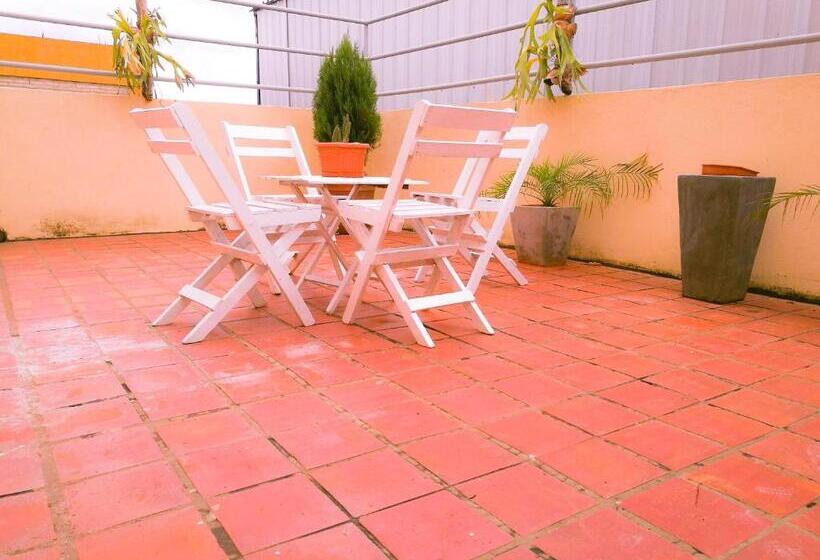 هتل Canarias Bed & Breakfast