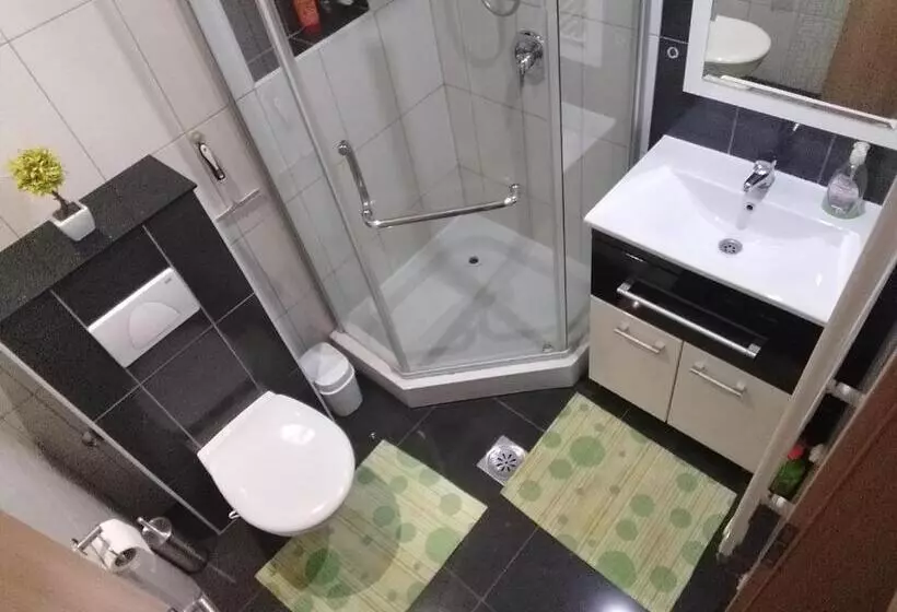 پانسیون Apartments Dedic