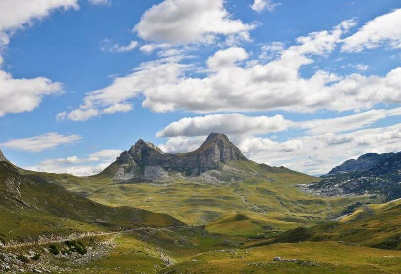 پانسیون Guesthouse Nedajno