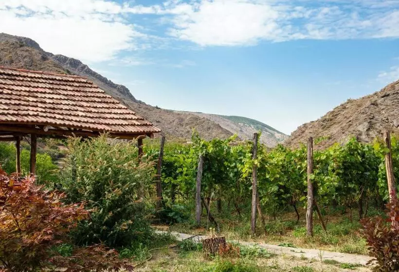 پانسیون Nika Vacheishvili S Guest House