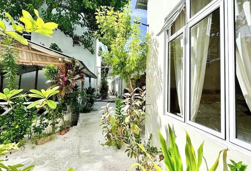 پانسیون Three Hearts