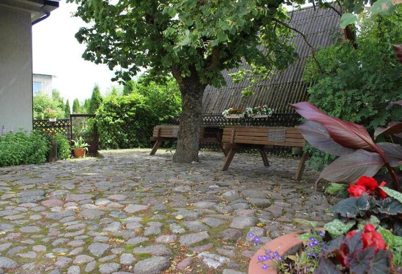 هاستل Sanders Motel