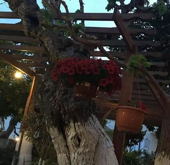 ユースホステル The Bunch Of Grapes Inn