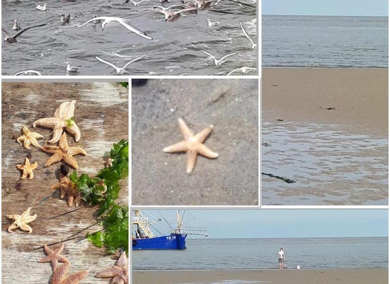 住宿加早餐 Bij Van Der Veer