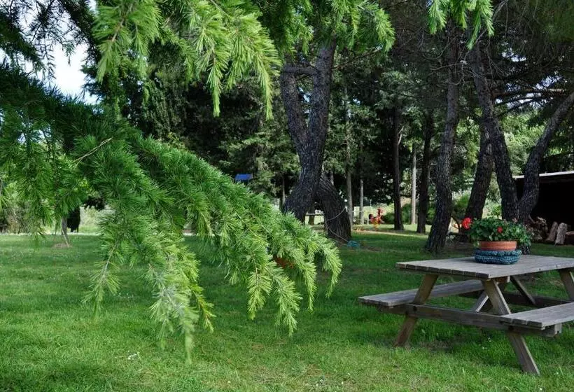 ホテル Agriturismo Soiano Famiglia Rolfini