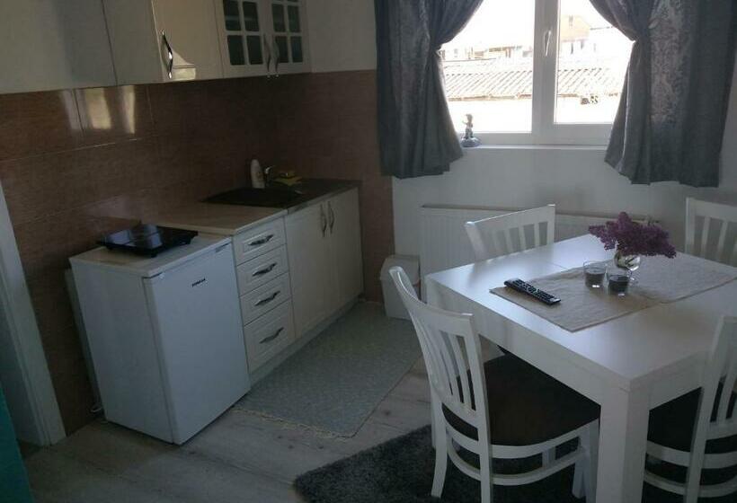 پانسیون Apartments Vila Selena   Golija