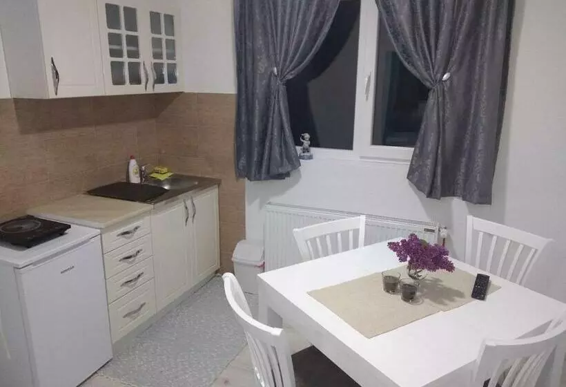 پانسیون Apartments Vila Selena   Golija