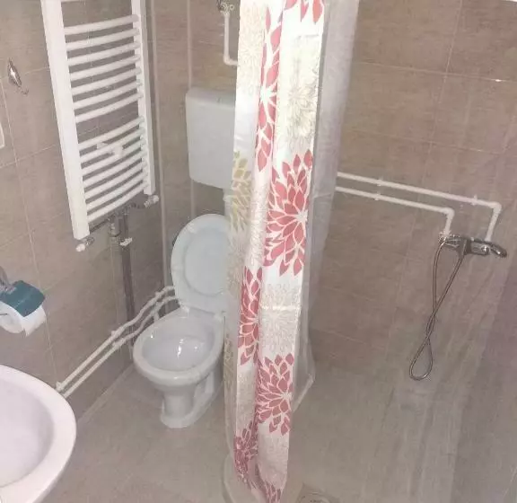 پانسیون Apartments Vila Selena   Golija