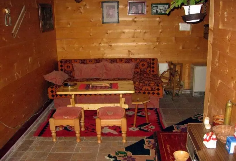 پانسیون Apartments Vila Selena   Golija