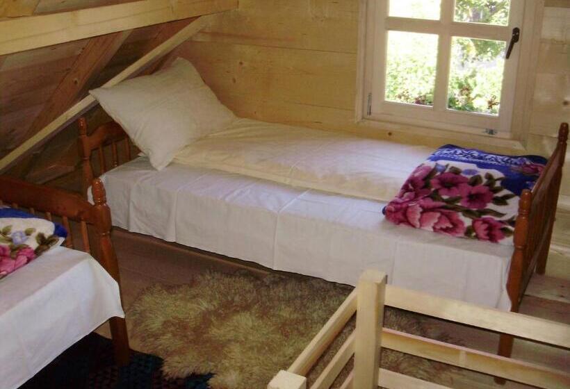 پانسیون Apartments Vila Selena   Golija