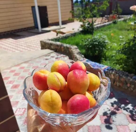 پانسیون Svetlana Guest House