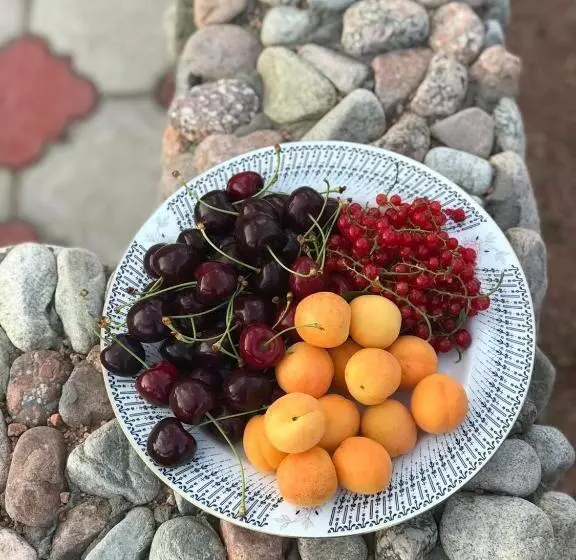 پانسیون Svetlana Guest House