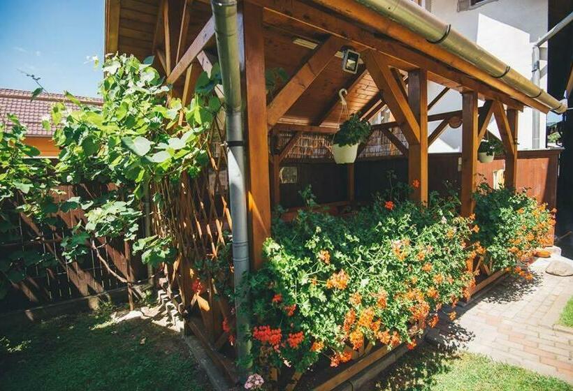 تختخواب و صبحانه Balázs Panzió