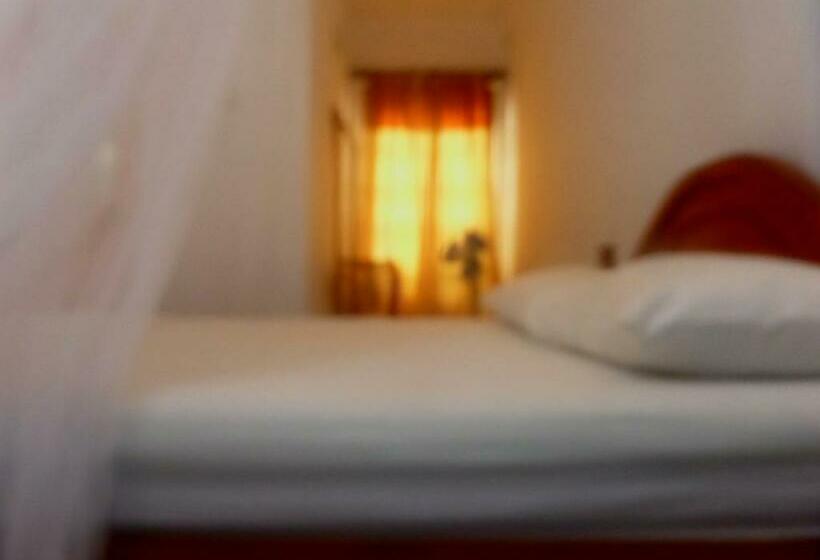 Nocleg ze śniadaniem Forest View Homestay