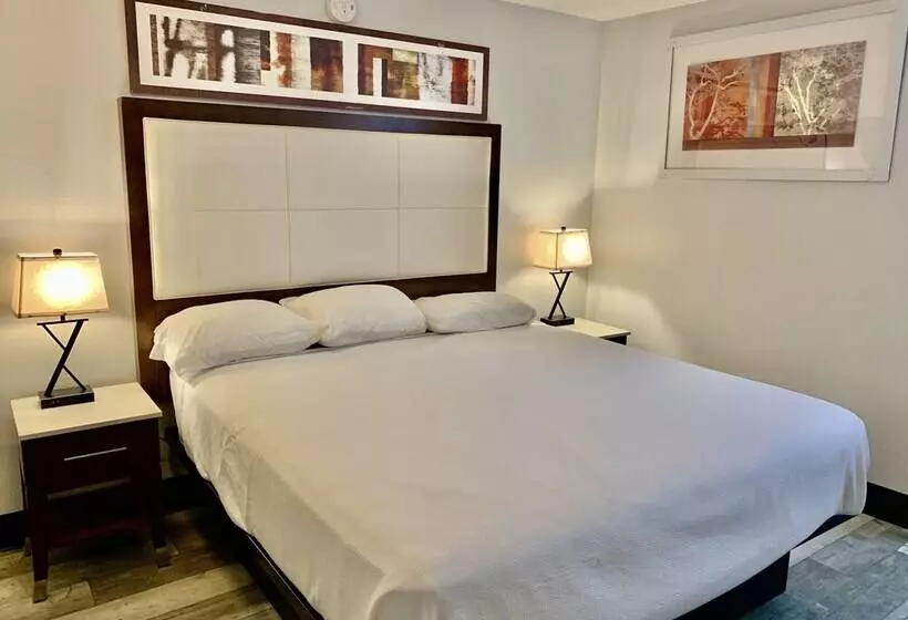 ホテル Rodeway Inn Midland South