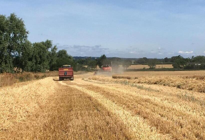 酒店 The Manor Farm Alderton