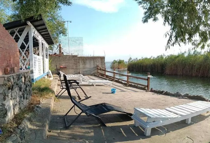 ペンション Almaville Mamaia
