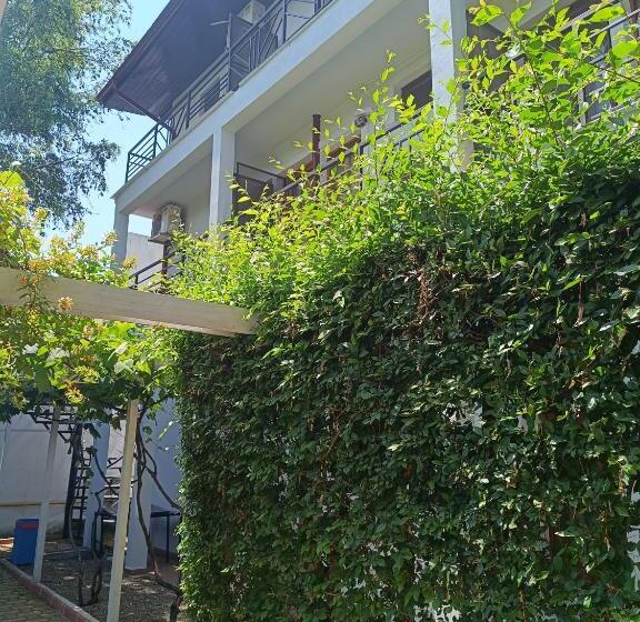 펜션 Almaville Mamaia