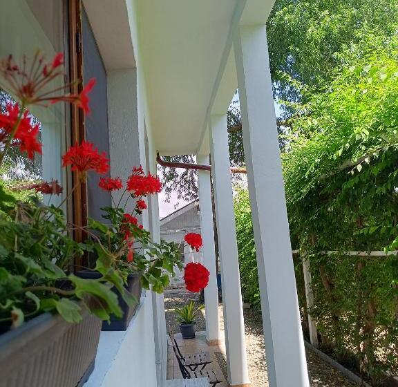 펜션 Almaville Mamaia