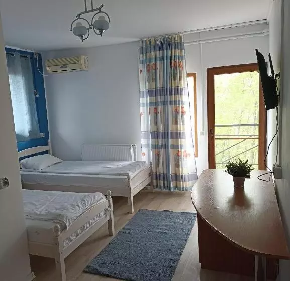 ペンション Almaville Mamaia