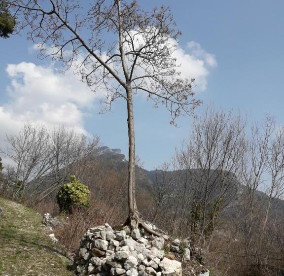 ペンション Casa San Felice