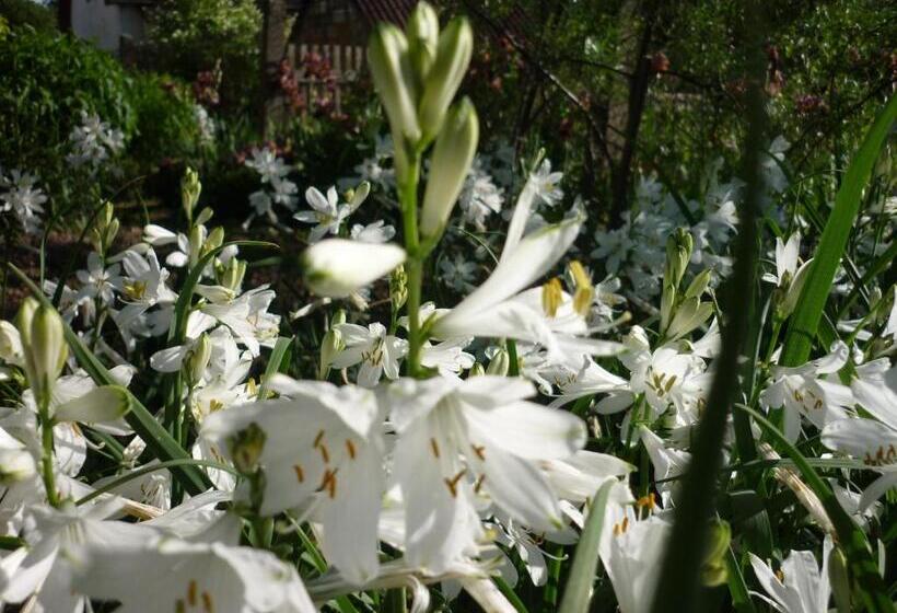 پانسیون Marigolds