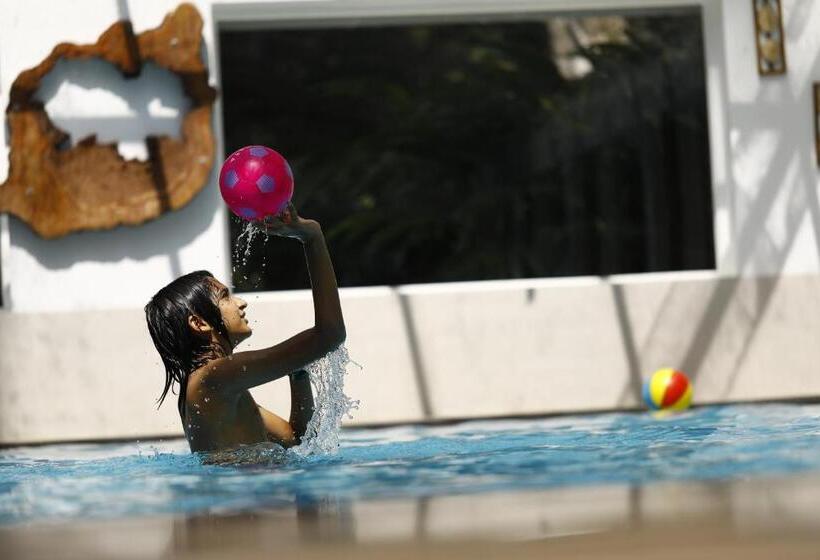 Resort The Tall Trees