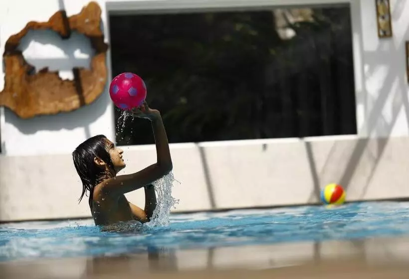 Lomakeskus The Tall Trees