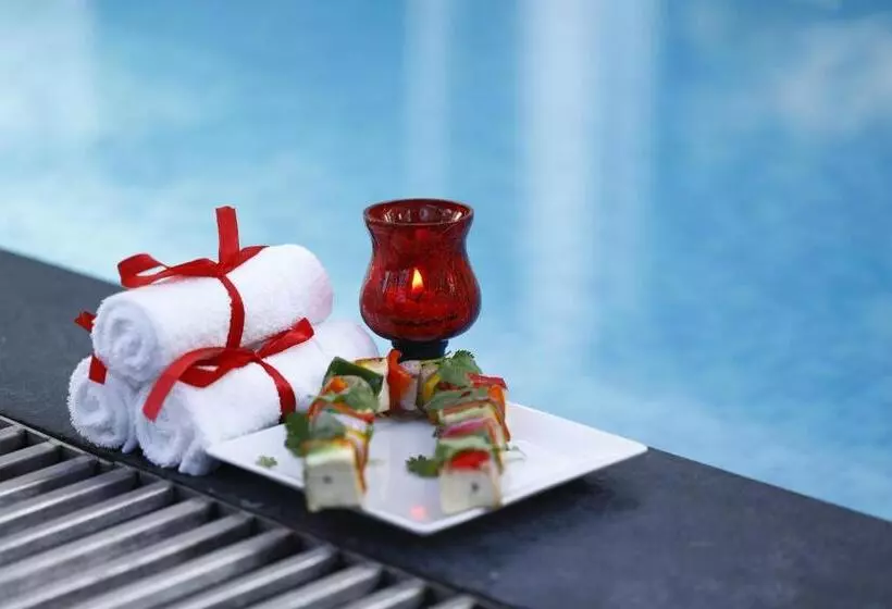 Lomakeskus The Tall Trees