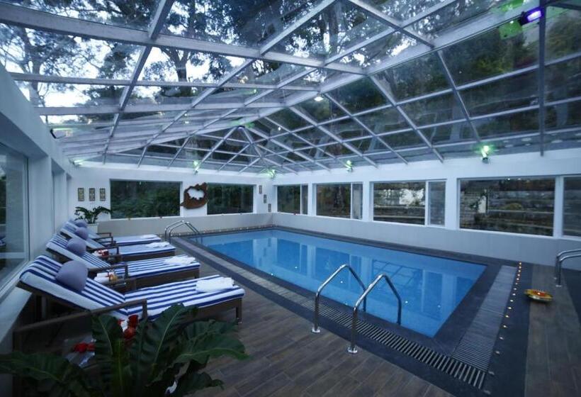 Resort The Tall Trees