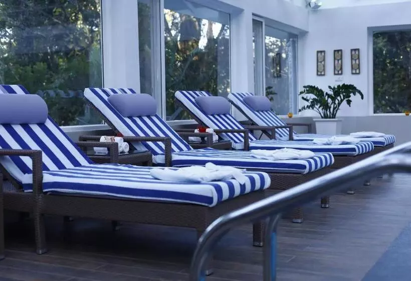 Lomakeskus The Tall Trees