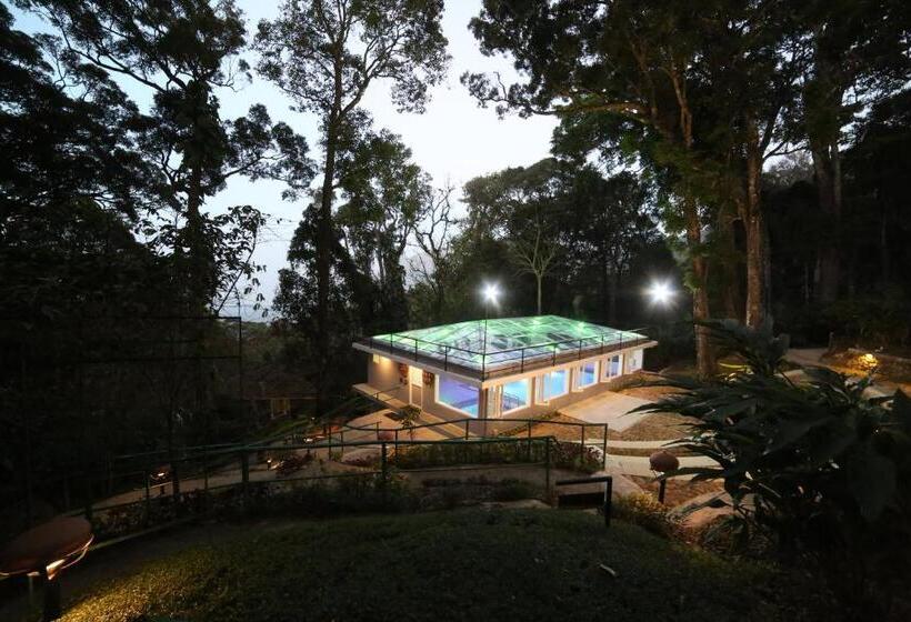 Resort The Tall Trees