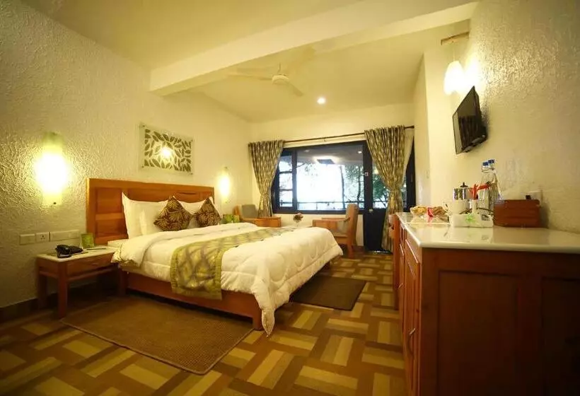 Lomakeskus The Tall Trees