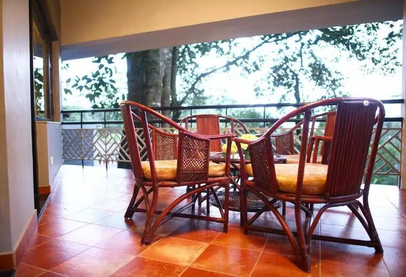 Lomakeskus The Tall Trees