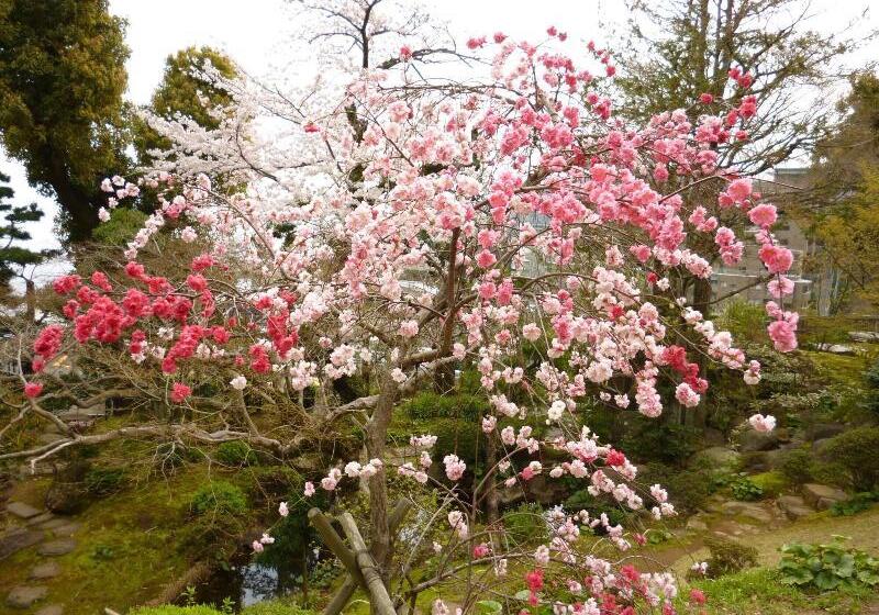 Отель Atami Taikansou