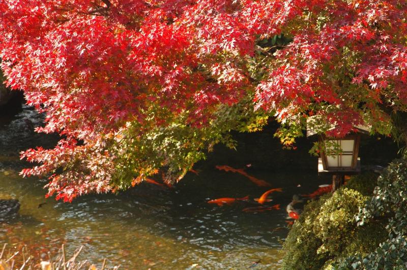 Отель Atami Taikansou