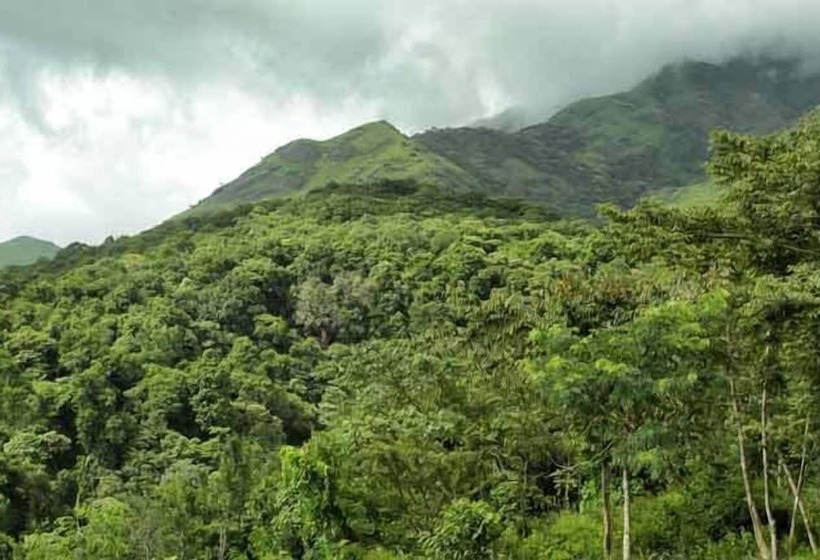 ホテル Banasura Hill Resort