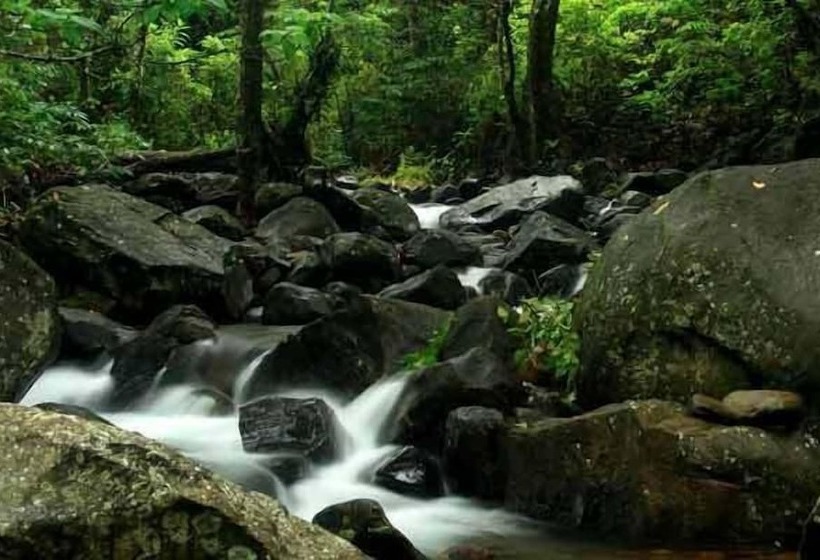 ホテル Banasura Hill Resort