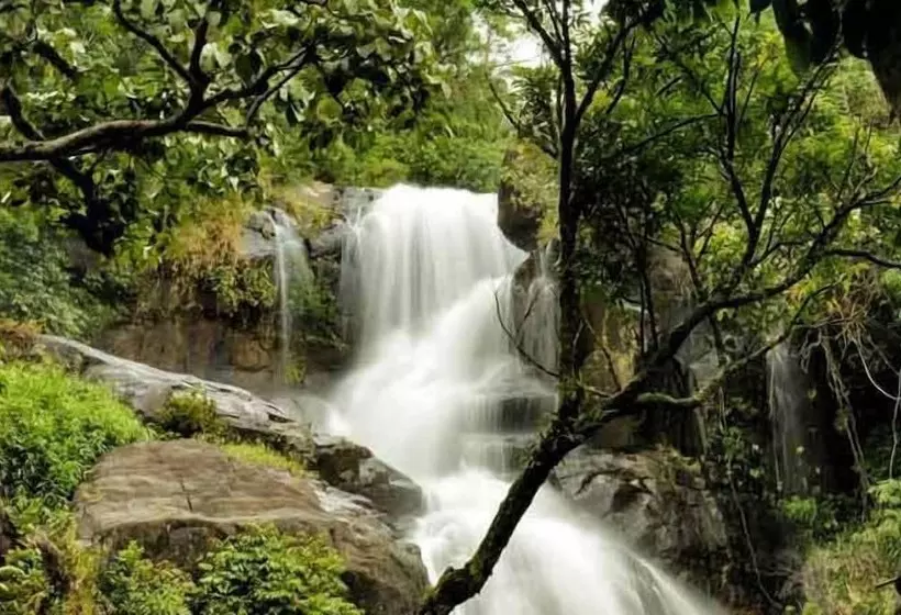 Banasura Hill Resort