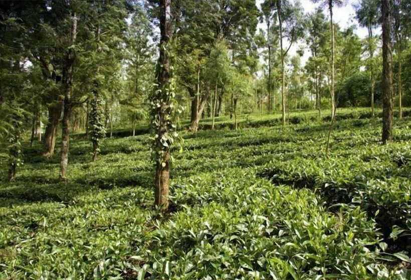 ホテル Banasura Hill Resort