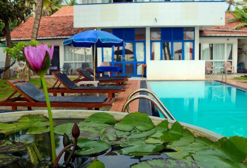 Отель Edelweiss Resort