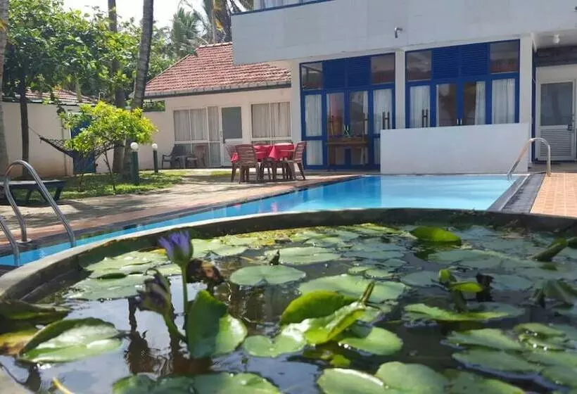 Отель Edelweiss Resort