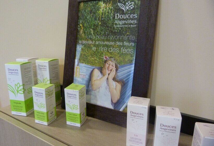 בית מלון כפרי Loire & Sens