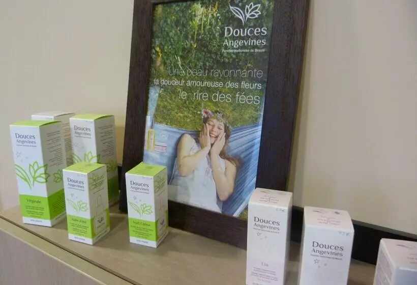 בית מלון כפרי Loire & Sens