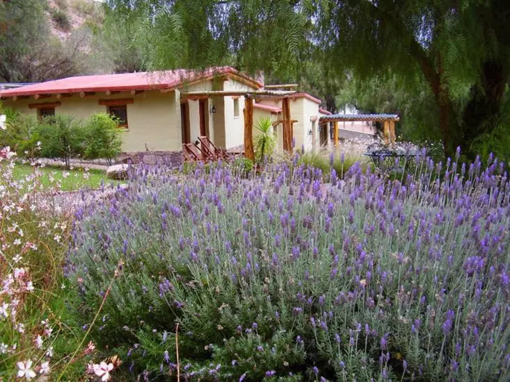 Hotel Posada Don Juan