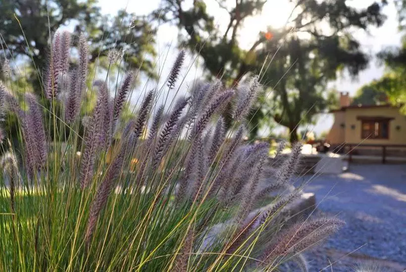 Hotel Posada Don Juan