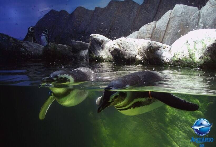 ホテル Pousada Todas As Luas