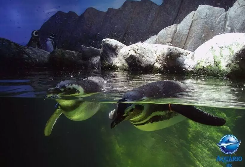 ホテル Pousada Todas As Luas